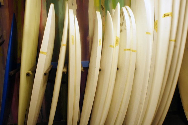 shell surfboard